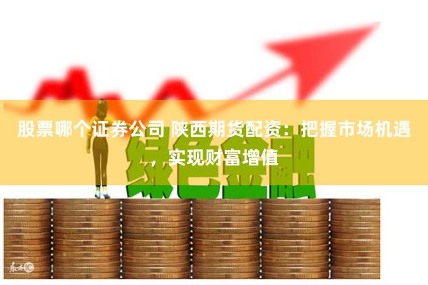 股票哪个证券公司 陕西期货配资：把握市场机遇，实现财富增值