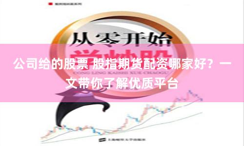 公司给的股票 股指期货配资哪家好？一文带你了解优质平台